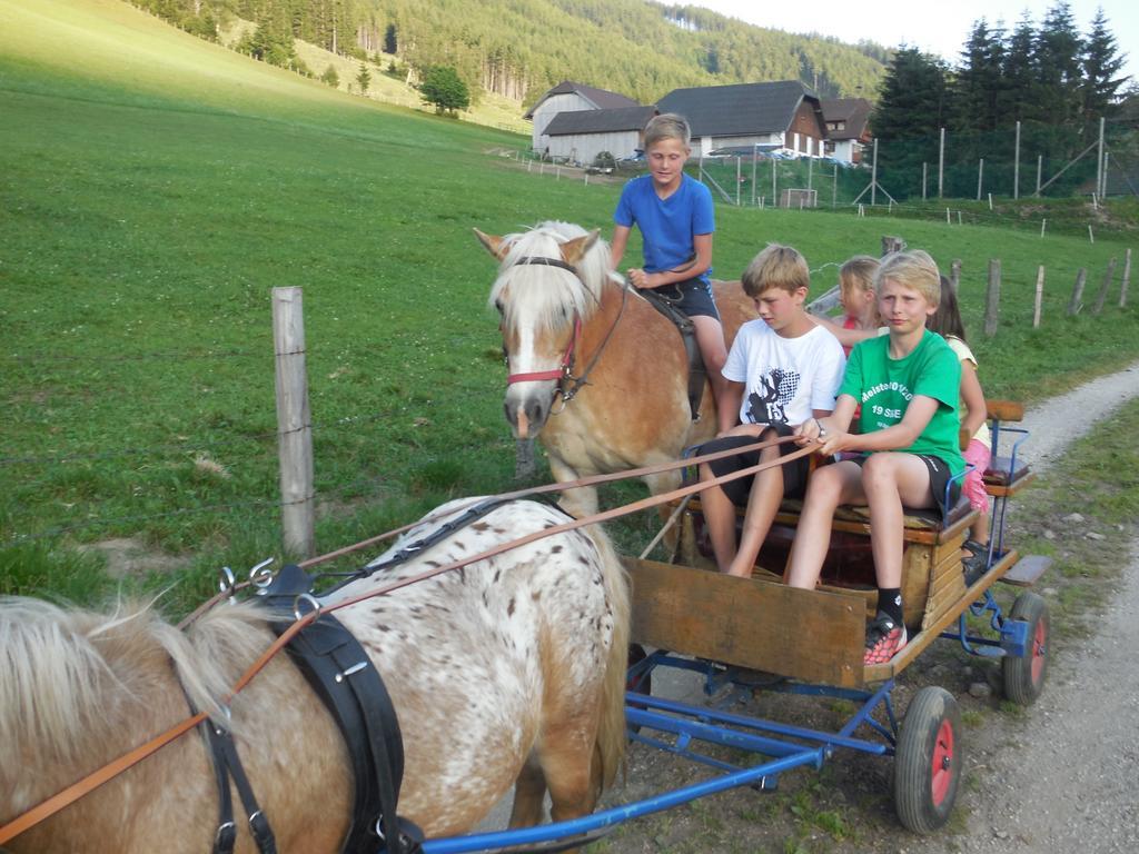 Hansalagut Mauterndorf  Εξωτερικό φωτογραφία